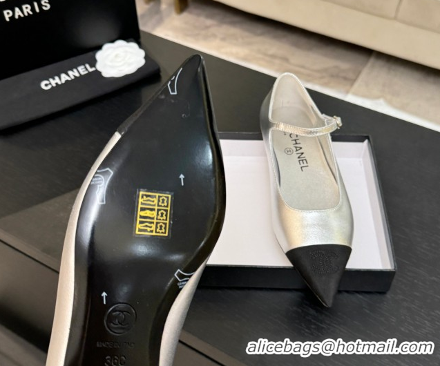Most Popular Chanel Lambskin & Grosgrain Pointed Mary Janes Ballet Flats Silver 2025 G46849 103039