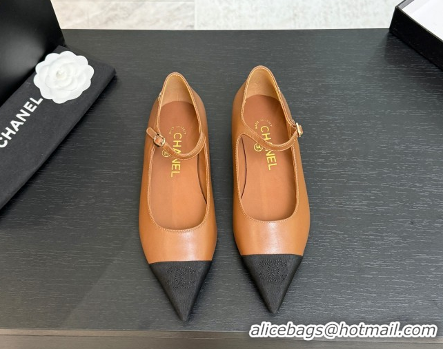 Top Grade Chanel Lambskin & Grosgrain Pointed Mary Janes Ballet Flats Brown 2025 G46849 1103040