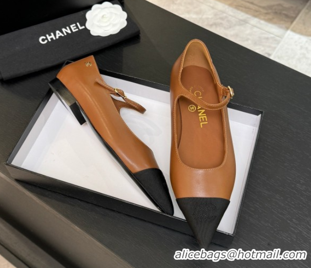 Top Grade Chanel Lambskin & Grosgrain Pointed Mary Janes Ballet Flats Brown 2025 G46849 1103040