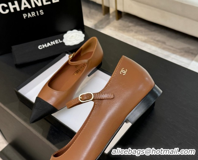 Top Grade Chanel Lambskin & Grosgrain Pointed Mary Janes Ballet Flats Brown 2025 G46849 1103040