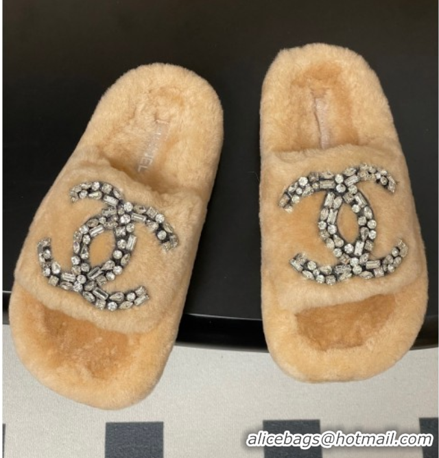 Unique Style Chanel Wool Platform Slides Sandal with Strass CC Pale Pink 2025 CH110305 1103085