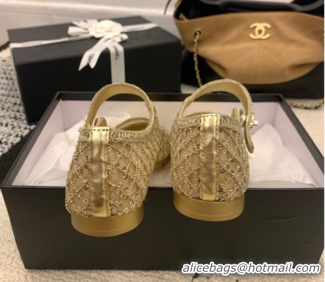 Duplicate Chanel Leather, Mesh and Sequins Mary Janes Ballets Flat Gold 2025 CH110311 1103106