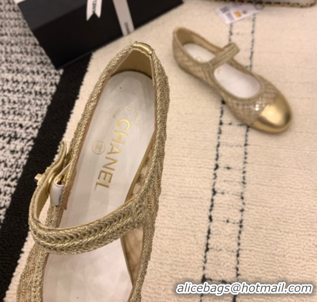 Duplicate Chanel Leather, Mesh and Sequins Mary Janes Ballets Flat Gold 2025 CH110311 1103106