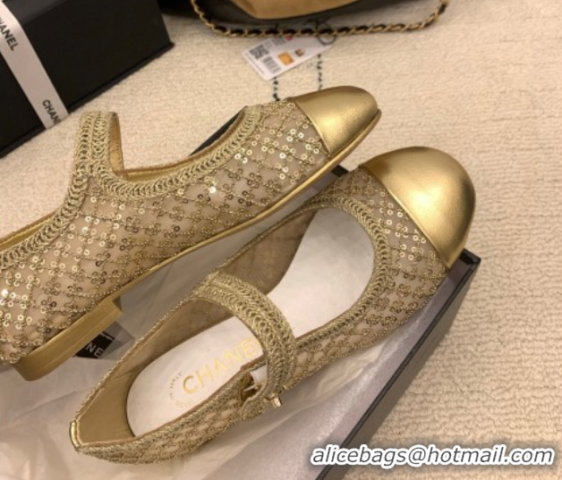 Duplicate Chanel Leather, Mesh and Sequins Mary Janes Ballets Flat Gold 2025 CH110311 1103106