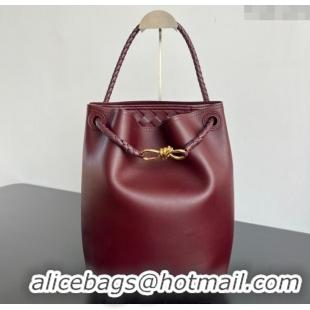 Best Price Bottega Veneta Andiamo Bucket Bag in Calf Leather 844169 Barolo Red 2025