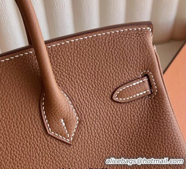Best Grade Hermes Birkin 25cm Bag in Togo Calfskin Leather HE25 Brown/Gold 2025 (Full Handmade)