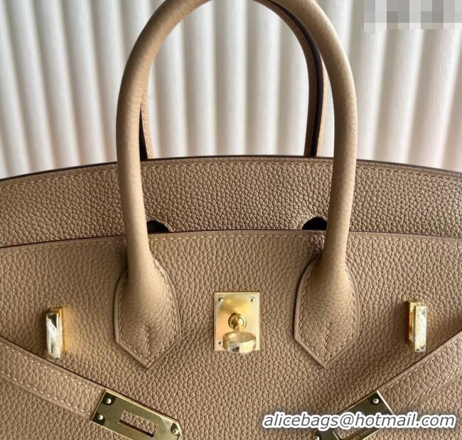 Grade Promotional Hermes Birkin 25cm Bag in Togo Calfskin Leather HE25 Milk Tea Beige 2025 (Full Handmade)
