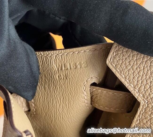 Grade Promotional Hermes Birkin 25cm Bag in Togo Calfskin Leather HE25 Milk Tea Beige 2025 (Full Handmade)
