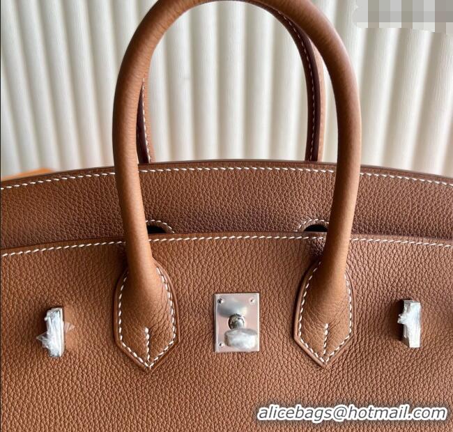 Original Discount Hermes Birkin 25cm Bag in Togo Calfskin Leather HE25 Brown/Silver 2025 (Full Handmade)