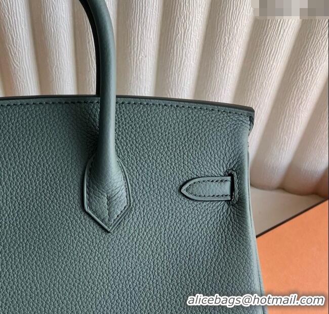 Good Taste Hermes Birkin 25cm Bag in Togo Calfskin Leather HE25 Almond Green 2025 (Full Handmade)