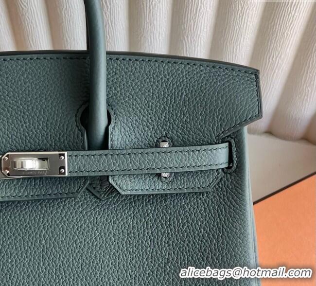Good Taste Hermes Birkin 25cm Bag in Togo Calfskin Leather HE25 Almond Green 2025 (Full Handmade)
