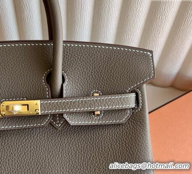 Top Quality Hermes Birkin 25cm Bag in Togo Calfskin Leather HE25 Elephant Grey/Gold 2025 (Full Handmade)