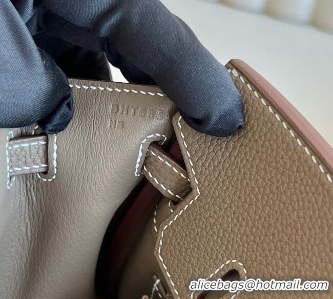 Top Quality Hermes Birkin 25cm Bag in Togo Calfskin Leather HE25 Elephant Grey/Gold 2025 (Full Handmade)