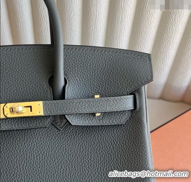 Most Popular Hermes Birkin 25cm Bag in Togo Calfskin Leather HE25 Cloud Grey 2025 (Full Handmade)