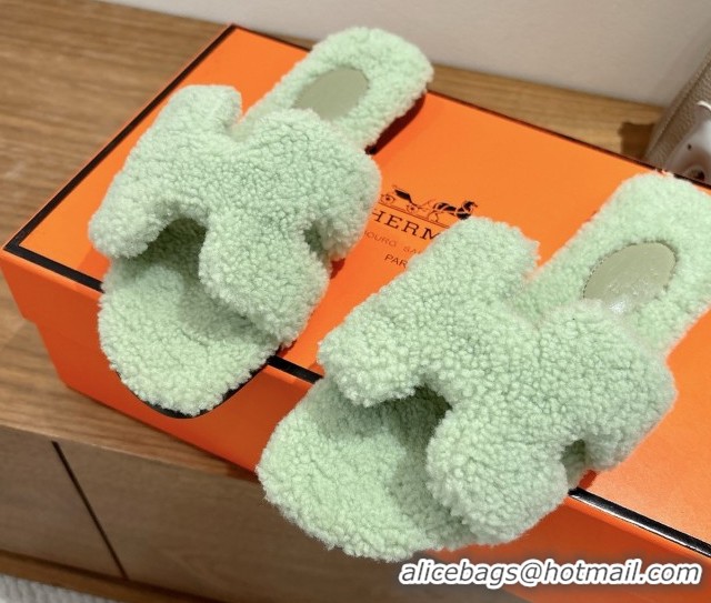 Best Price Hermes Oran Sandals in Shearling Wool H101602 Light Green
