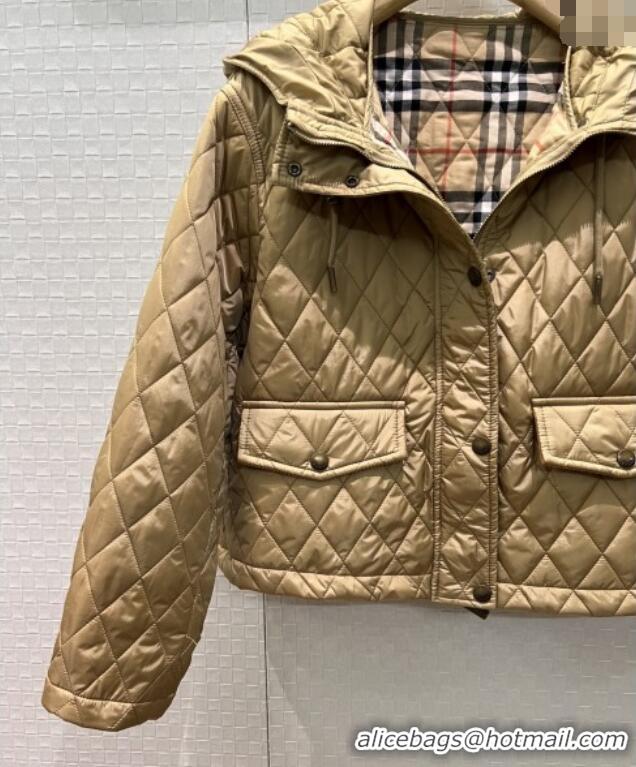 Famous Brand Burberry Cropped Quilted Nylon Hooded Jacket B112708 Brown 2025
