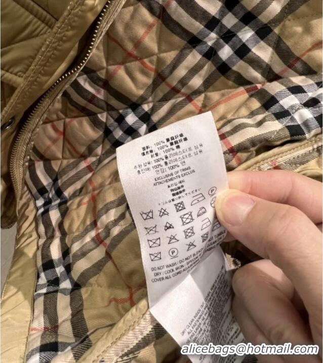Famous Brand Burberry Cropped Quilted Nylon Hooded Jacket B112708 Brown 2025