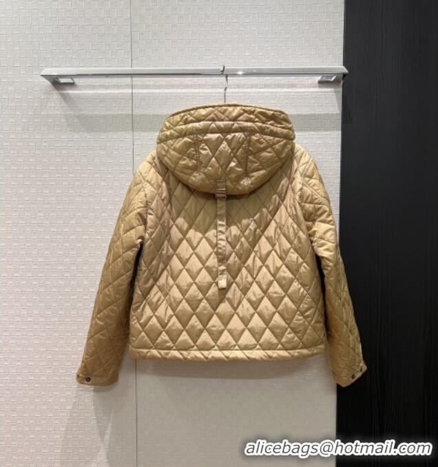 Famous Brand Burberry Cropped Quilted Nylon Hooded Jacket B112708 Brown 2025