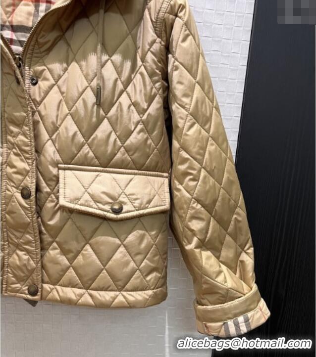 Famous Brand Burberry Cropped Quilted Nylon Hooded Jacket B112708 Brown 2025