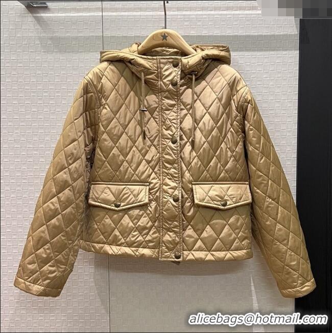 Famous Brand Burberry Cropped Quilted Nylon Hooded Jacket B112708 Brown 2025