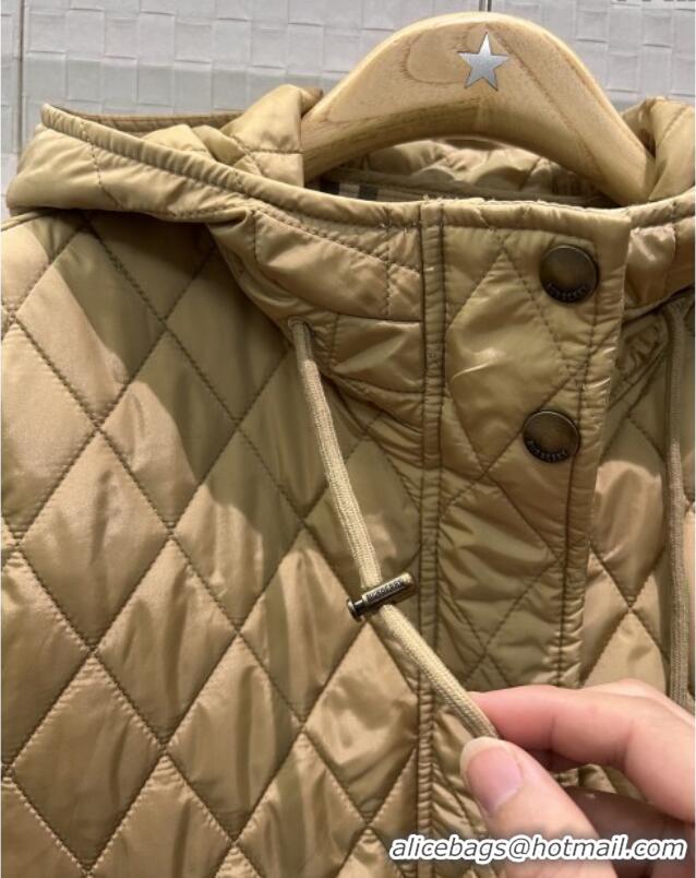 Famous Brand Burberry Cropped Quilted Nylon Hooded Jacket B112708 Brown 2025