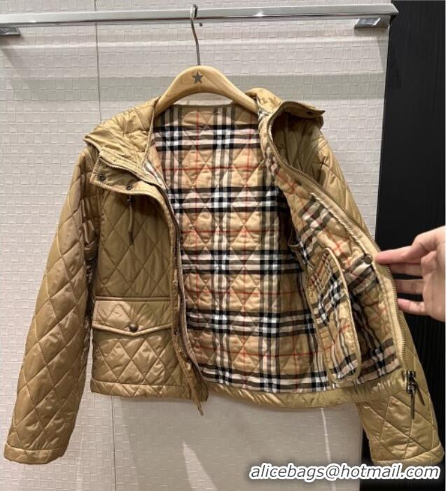 Famous Brand Burberry Cropped Quilted Nylon Hooded Jacket B112708 Brown 2025