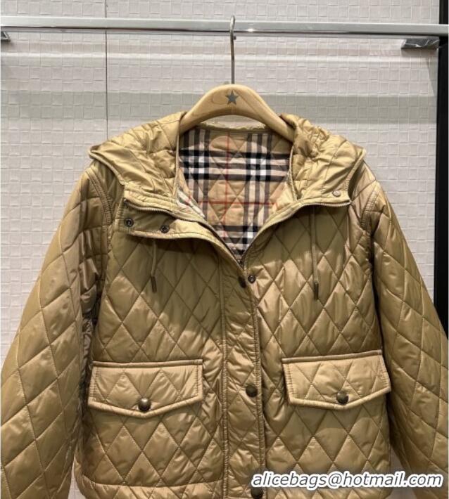 Famous Brand Burberry Cropped Quilted Nylon Hooded Jacket B112708 Brown 2025