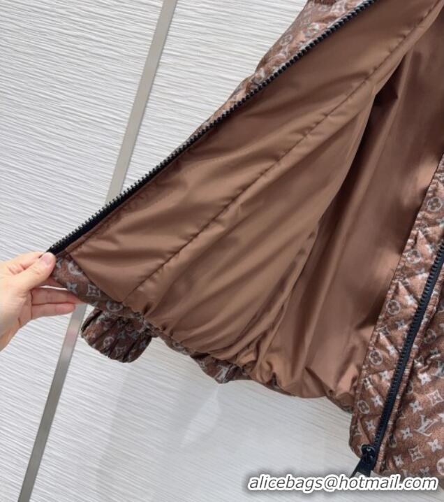 Grade Promotional Louis Vuitton Down Jacket 1201 Brown 2025