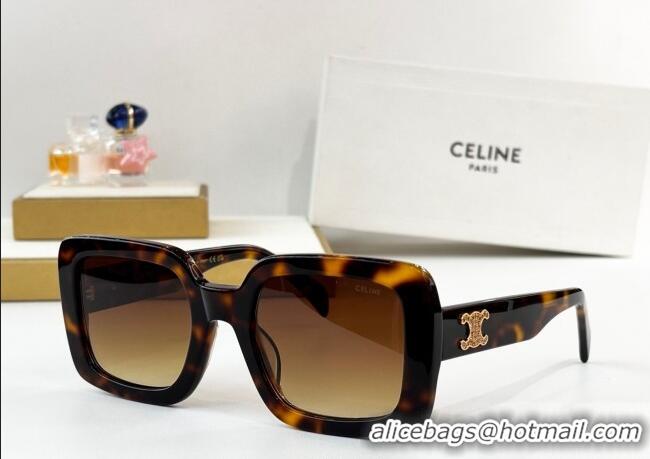 Buy Discount Celine Sunglasses with Strass CL40304 2025