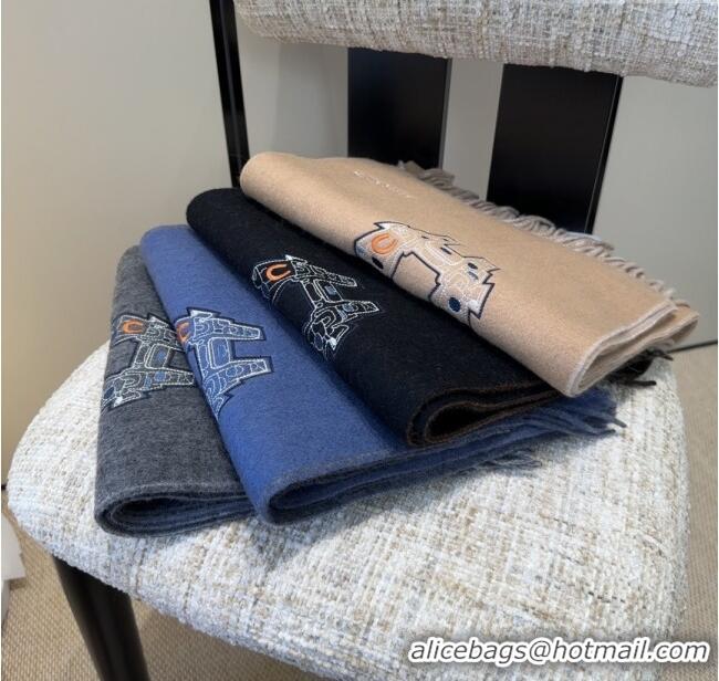 Spot Bulk Hermes Long 190x35cm Scarf H110504 Grey 2025