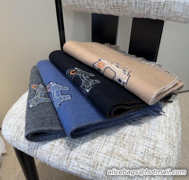 Best Price Hermes Long 190x35cm Scarf H110505 Black 2025