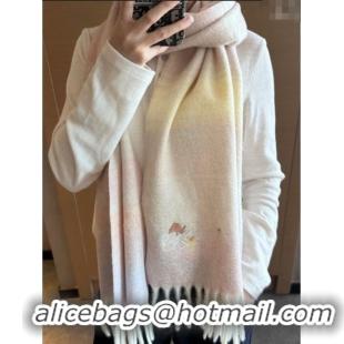 Grade Quality Loewe Mohair & Wool Scarf 185x40cm L110509 Pink 2025