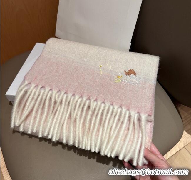 Grade Quality Loewe Mohair & Wool Scarf 185x40cm L110509 Pink 2025