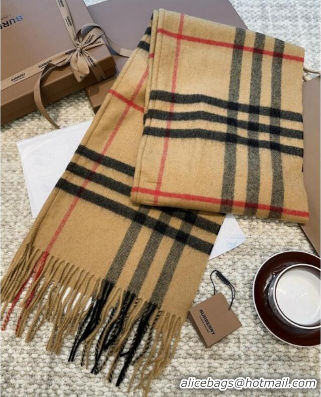 Modern Classic Burberry Cashmere Hooded Scarf B110601 2025