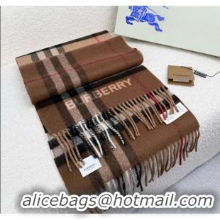 Best Price Burberry Cashmere Long Scarf 30x168cm BR111101 Brown 2025
