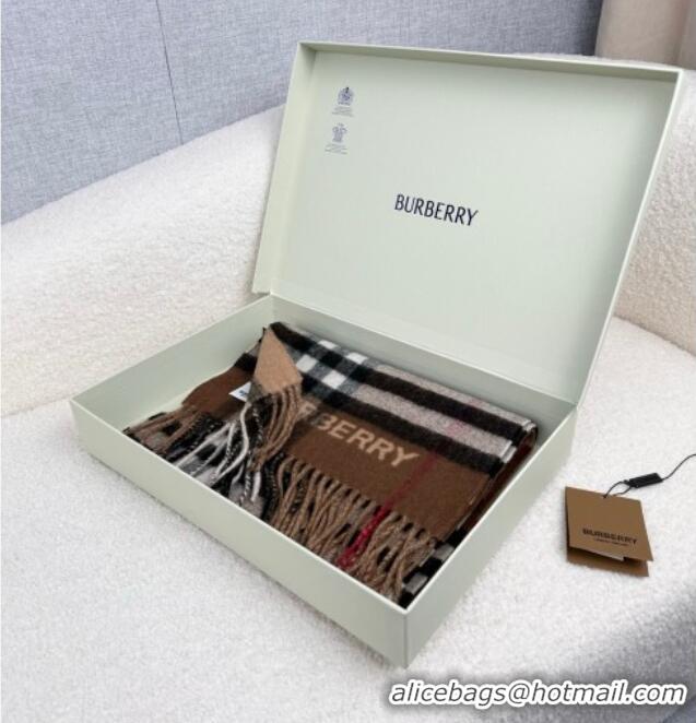 Best Price Burberry Cashmere Long Scarf 30x168cm BR111101 Brown 2025