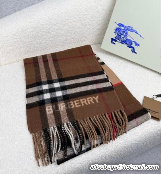 Best Price Burberry Cashmere Long Scarf 30x168cm BR111101 Brown 2025