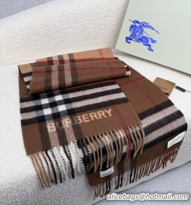 Best Price Burberry Cashmere Long Scarf 30x168cm BR111101 Brown 2025
