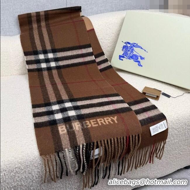 Best Price Burberry Cashmere Long Scarf 30x168cm BR111101 Brown 2025