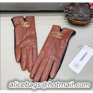 Best Discount Chanel Lambskin and Cashmere Gloves 1129 Brown Leather 2024