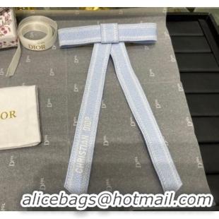 Particularly Recommended Dior Twist Bow Hair Clip 0723 Blue 2025