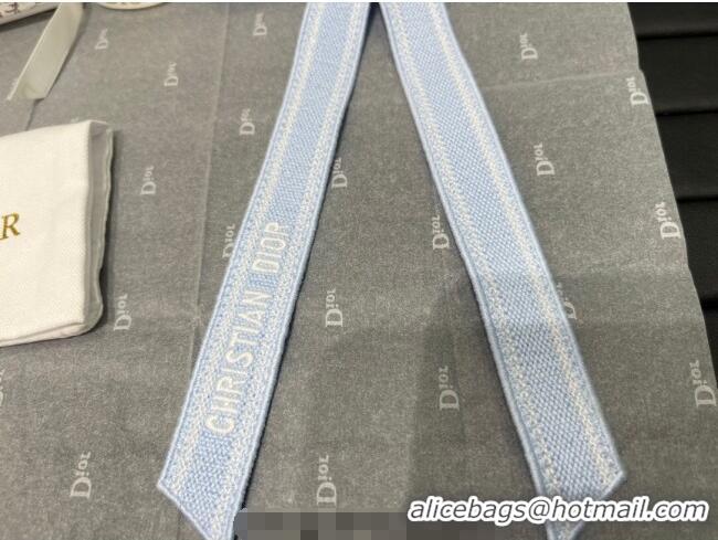 Particularly Recommended Dior Twist Bow Hair Clip 0723 Blue 2025