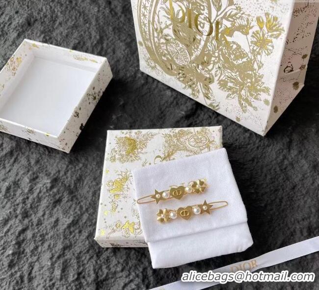 Top Quality Discount Dior Star Hairclip 1111 Gold PAIR 2025
