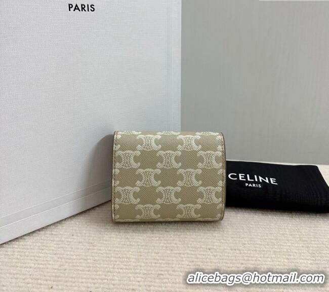 Original Cheap Celine Small Wallet in Triomphe Canvas 10D782 Beige Grey 2024