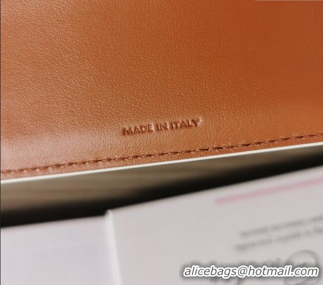 Modern Classic Celine Small Wallet in Triomphe Canvas 10D782 White 2024