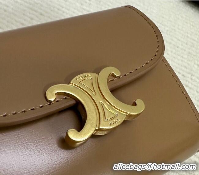 Cheap Classic Celine Small Wallet in Shiny Calfskin 10D783 Bronze 2024