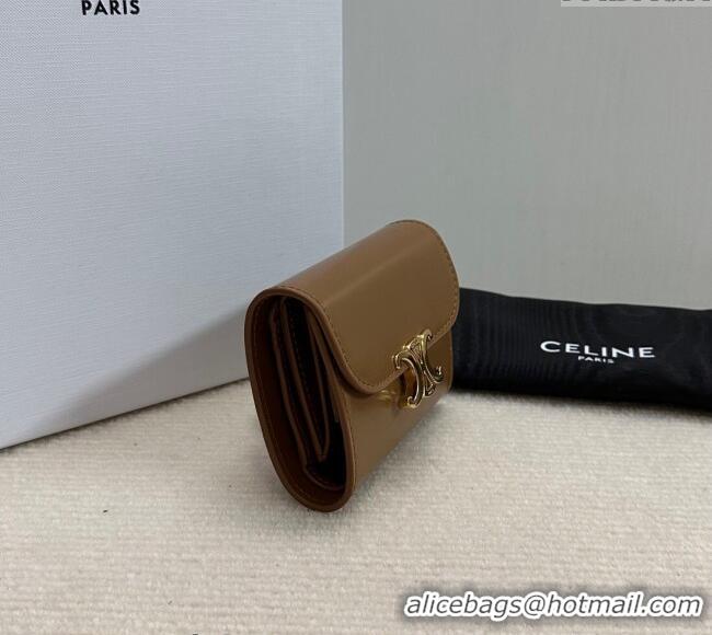 Cheap Classic Celine Small Wallet in Shiny Calfskin 10D783 Bronze 2024