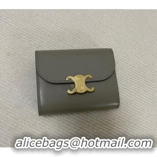 Super Quality Celine Small Wallet in Shiny Calfskin 10D783 Grey 2024