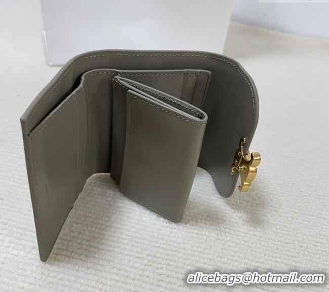 Super Quality Celine Small Wallet in Shiny Calfskin 10D783 Grey 2024
