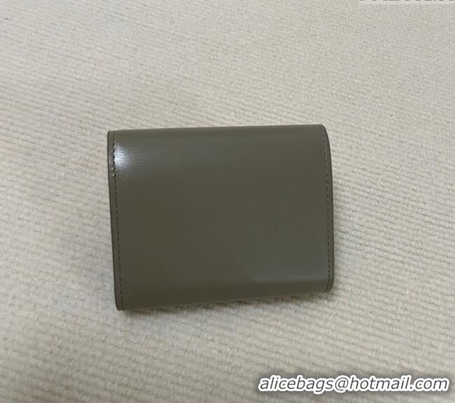 Super Quality Celine Small Wallet in Shiny Calfskin 10D783 Grey 2024